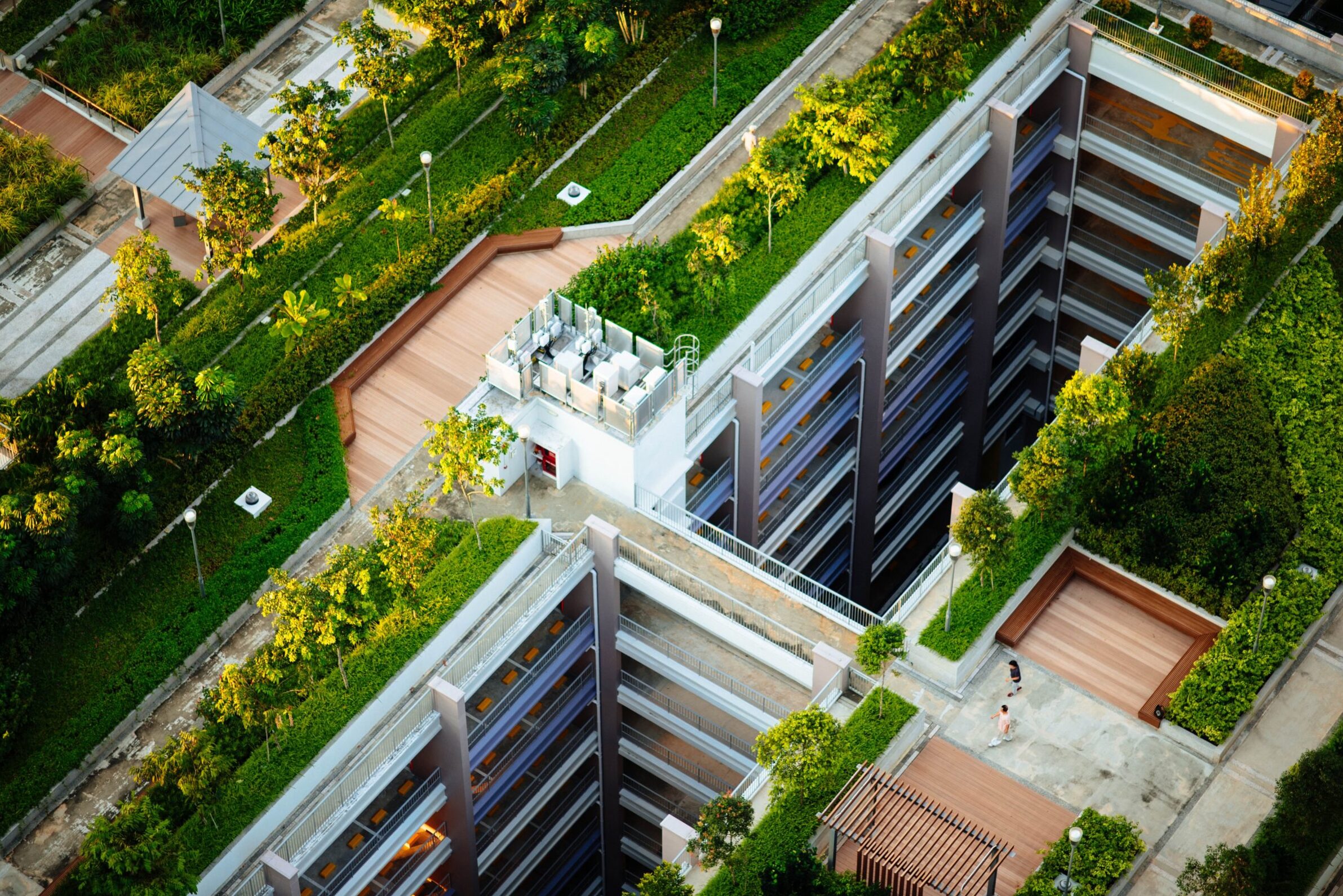 Inspiration and ideas for a special green space