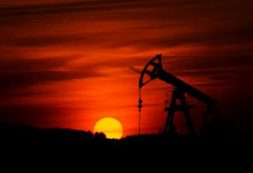 What elements influence the price of fuel oil?
